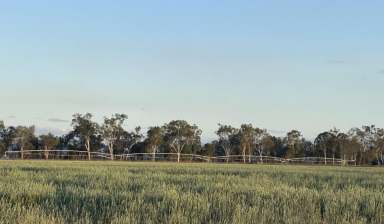 Farm For Sale - QLD - Langley - 4630 - Langview - Irrigation Property  (Image 2)