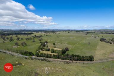 Farm For Sale - NSW - Murrumbateman - 2582 - "Kallenia" Fantastic Rural Holding  (Image 2)