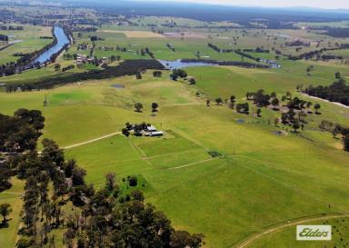 Farm For Sale - VIC - Swan Reach - 3903 - And The Adventure Begins ...  (Image 2)