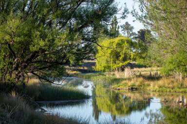 Farm Sold - NSW - Armidale - 2350 - "Swallowfield" - A Diverse Rural Lifestyle  (Image 2)