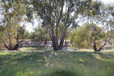 68 Wilcannia-Menindee Road, Menindee NSW 2879