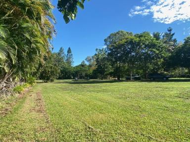 Farm For Sale - QLD - Forrest Beach - 4850 - 4,017 SQ.M. (JUST UNDER 1 ACRE) BLOCK AT BEACH!  (Image 2)
