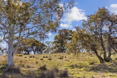 Farm Sold - NSW - Gunning - 2581 - Expand Your Rural Horizons With Endless Options  (Image 2)