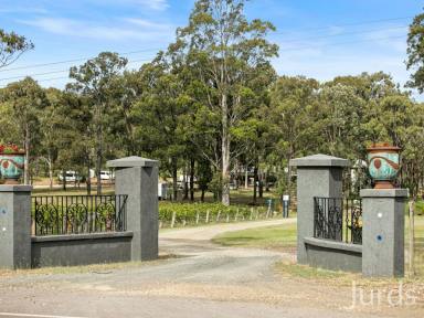 Farm For Sale - NSW - Pokolbin - 2320 - GLAMPING IN HUNTER VALLEY WINE COUNTRY  (Image 2)