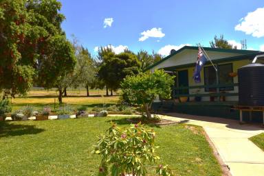 Farm For Sale - NSW - Wellington - 2820 - 'Sheoak Woods' the perfect haven  (Image 2)