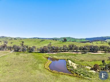 Farm For Sale - NSW - Taylors Flat - 2586 - Grazing Land With Creek Frontage  (Image 2)