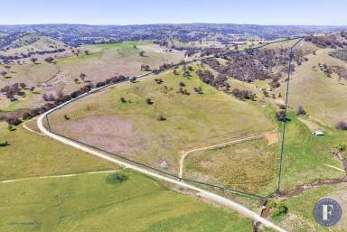 Farm Sold - NSW - Boorowa - 2586 - Peaceful Bushland Getaway  (Image 2)