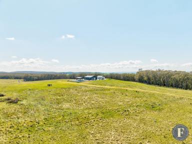 Farm Sold - NSW - Rugby - 2583 - Country Living - 'Ironwood' Rugby  (Image 2)