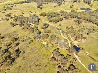 Farm For Sale - NSW - Taylors Flat - 2586 - Private Rural Retreat  (Image 2)