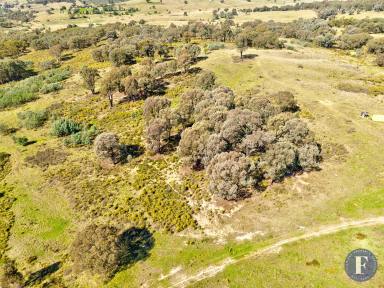 Farm For Sale - NSW - Taylors Flat - 2586 - Private Rural Retreat  (Image 2)