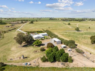 Farm For Sale - NSW - Harden - 2587 - Town Water Farm  (Image 2)