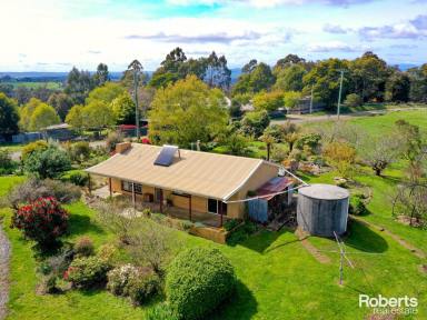 Farm Sold - TAS - Holwell - 7275 - Tranquil Acreage in Holwell: Embrace Rural Bliss  (Image 2)