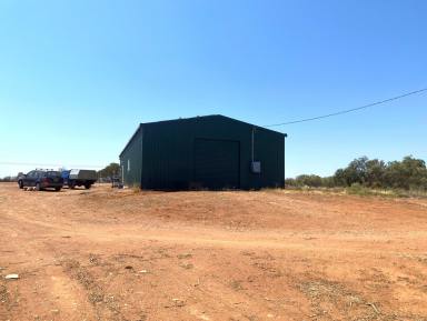 Farm For Sale - NSW - Cobar - 2835 - Rare opportunity awaits!  (Image 2)