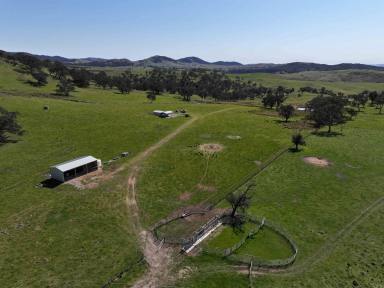 Farm For Sale - NSW - Uriarra - 2611 - Fairleigh  (Image 2)