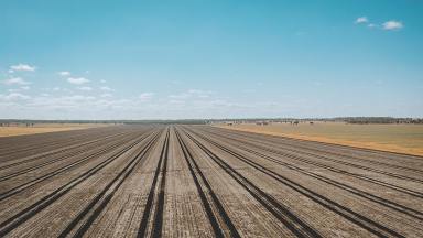 Farm Expressions of Interest - QLD - Dalby - 4405 - Quality farming country in the hub of the Darling Downs.  (Image 2)