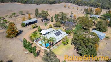 Farm Sold - NSW - Dubbo - 2830 - Equine Paradise on 74 Acres - Just 15km from Dubbo CBD!  (Image 2)