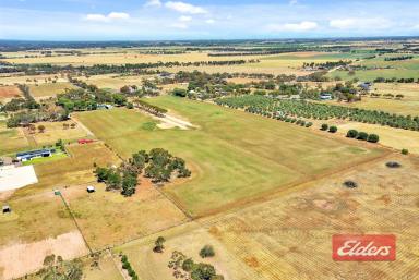 Farm Sold - SA - Gawler Belt - 5118 - UNDER CONTRACT BY CHRISTOPHER HURST  (Image 2)