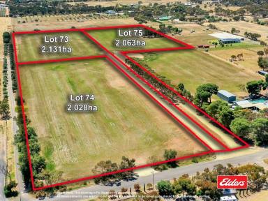 Farm Sold - SA - Gawler Belt - 5118 - UNDER CONTRACT BY CHRISTOPHER HURST  (Image 2)