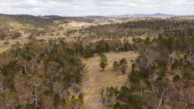 Farm Sold - NSW - Cooma - 2630 - Rare 6.5 Acre Residential Block - Zoned Large Lot Residential.  (Image 2)