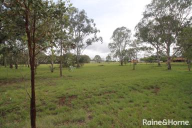 Farm For Sale - QLD - Kingaroy - 4610 - Embrace the beauty of the outdoors and create your dream lifestyle on this remarkable land.  (Image 2)