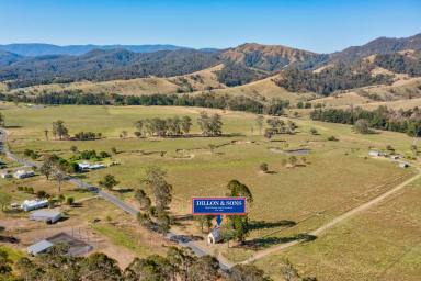 Farm Sold - NSW - Dungog - 2420 - Historic Rural Church Restoration Opportunity  (Image 2)
