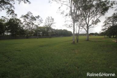 Farm For Sale - QLD - Kingaroy - 4610 - With Position, Potential, and Perfection!  (Image 2)