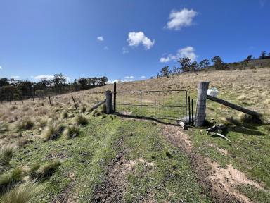 Farm For Sale - NSW - Bannaby - 2580 - 470 Acres, A Big Land holding. Mix Of Bush & Cleared, Ideal Weekender, Perfect future home site.  (Image 2)
