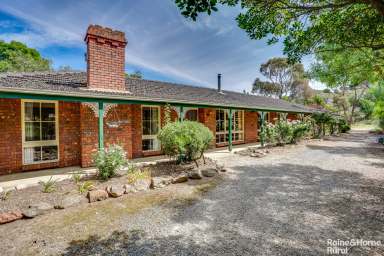 Farm Sold - SA - Wistow - 5251 - 'Millamoolonga' - Pool days & bonfire nights with rare work-life balance on 25 acres of equine country…  (Image 2)