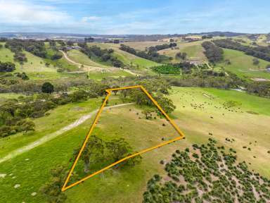 Farm Sold - SA - Hindmarsh Tiers - 5202 - Relax, retreat or spring an Airbnb surprise on 4 emerald acres of rural solitude...  (Image 2)