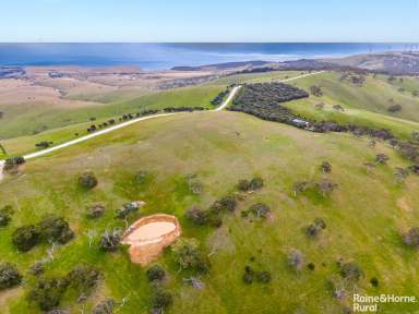 Farm Sold - SA - Cape Jervis - 5204 - Discover vision that soars above the average on 12-acres  (Image 2)