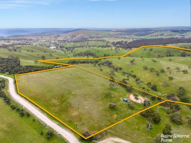 Farm For Sale - SA - Cape Jervis - 5204 - Discover vision that soars above the average on 12-acres  (Image 2)