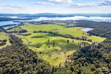 Farm Sold - TAS - Beauty Point - 7270 - "Gypsy Hill" Endless Potential On The Tamar  (Image 2)
