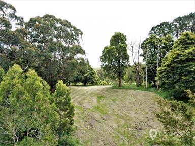 Farm For Sale - VIC - Foster - 3960 - IN TOWN ACREAGE  (Image 2)