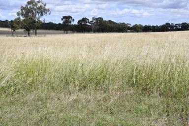 Farm For Sale - QLD - Quinalow - 4403 - 'Nanyah'
Our instructions are very, very clear - Sell this well improved and positioned property  (Image 2)