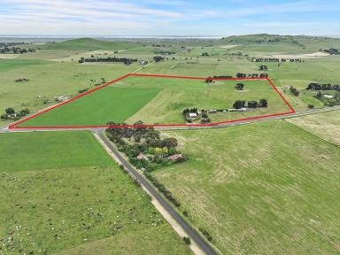 Farm Sold - VIC - Warrion - 3249 - OUTSTANDING COLAC DISTRICT PROPERTY  (Image 2)