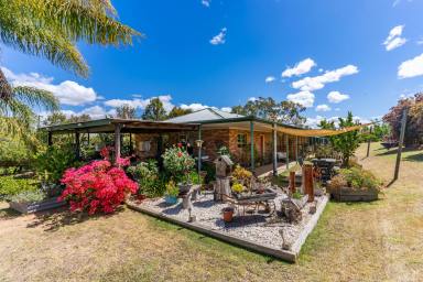 Farm For Sale - NSW - Darbys Falls - 2793 - Experience tranquillity!  (Image 2)