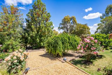 Farm For Sale - NSW - Darbys Falls - 2793 - Experience tranquillity!  (Image 2)