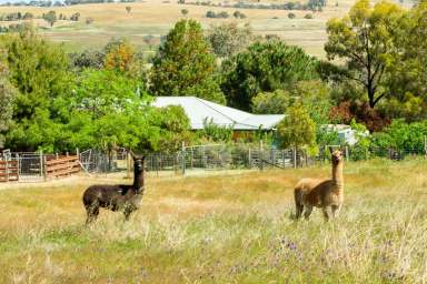 Farm For Sale - NSW - Darbys Falls - 2793 - Experience tranquillity!  (Image 2)