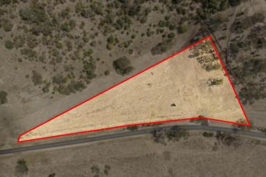 Farm Sold - QLD - Gowrie Junction - 4352 - A Rare, Versatile 3.95 Acre Lifestyle Allotment on the fringe of Gowrie Junction.  (Image 2)