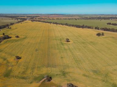 Farm For Sale - VIC - Teddywaddy - 3527 - Ideal Cropping Country  (Image 2)