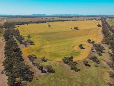 Farm For Sale - VIC - Teddywaddy - 3527 - Ideal Cropping Country  (Image 2)
