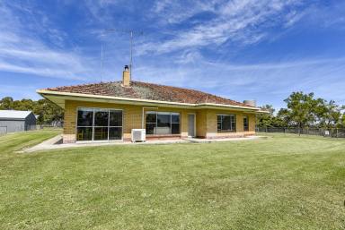 Farm Sold - SA - Wattle Range East - 5279 - Renovated rural living delight  (Image 2)