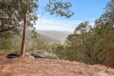 Farm For Sale - NSW - Putty - 2330 - "Brookside" - A slice of heaven - off the grid lifestyle retreat!  (Image 2)