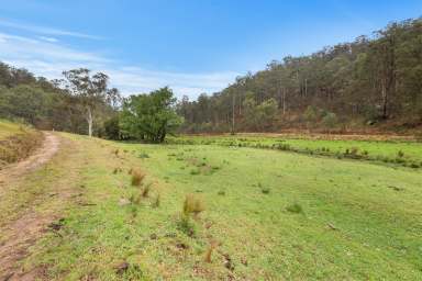 Farm For Sale - NSW - Putty - 2330 - "Brookside" - A slice of heaven - off the grid lifestyle retreat!  (Image 2)