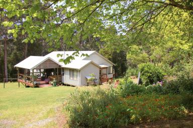Farm For Sale - WA - Kordabup - 6333 - Story Book Forest Retreat  (Image 2)