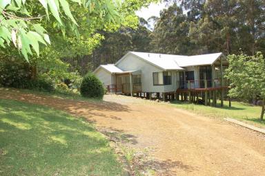 Farm For Sale - WA - Kordabup - 6333 - Story Book Forest Retreat  (Image 2)