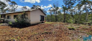 Farm For Sale - VIC - Bendoc - 3888 - Peaceful And Tranquil Setting  (Image 2)