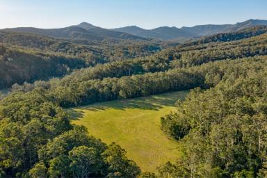 Farm Sold - NSW - East Gresford - 2311 - 'Red Cedars' – Vacant Riverfront Land  (Image 2)