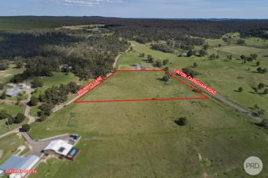 Farm For Sale - VIC - Snake Valley - 3351 - Build Where The Brumby's Roam Free  (Image 2)