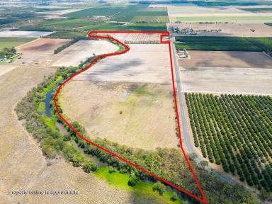 Farm Sold - QLD - Calavos - 4670 - CULTIVATION WITH PLENTY OF WATER  (Image 2)